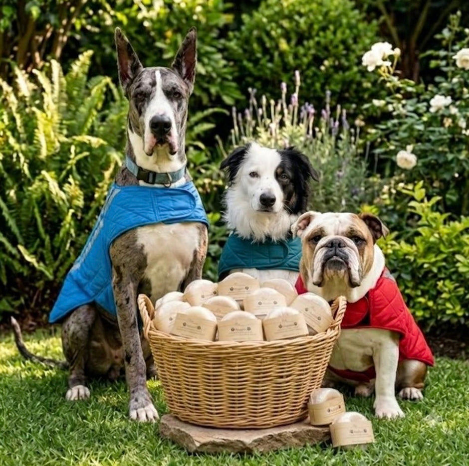 Fur Babies
